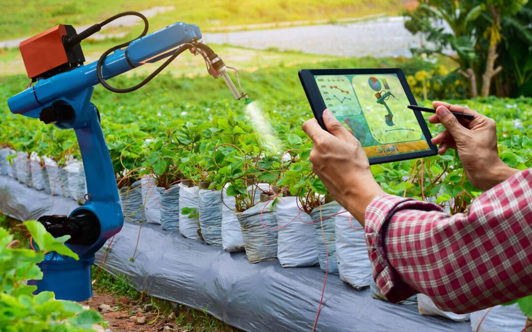 Tech-Driven Solutions: How Innovation Fights Food Insecurity